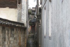 IMG_1932